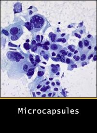 Microcapsules